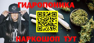 круглые Камышлов