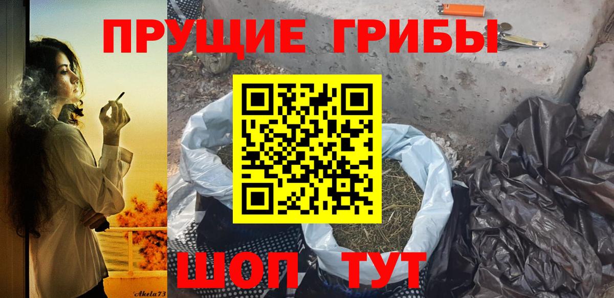 Янаул  Галлюциногенные грибы Psilocybe  Вход с VPN  Галлюциногенные грибы мухоморы 